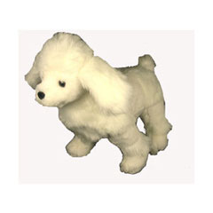 Bears 2 Go